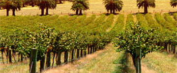 Margaret River Accommodation